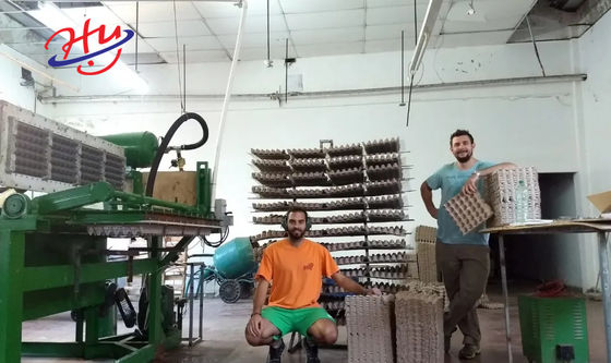 Ligne équipement de moulage de Tray Machine Paper Pulp Forming d'oeufs de boîte à oeufs